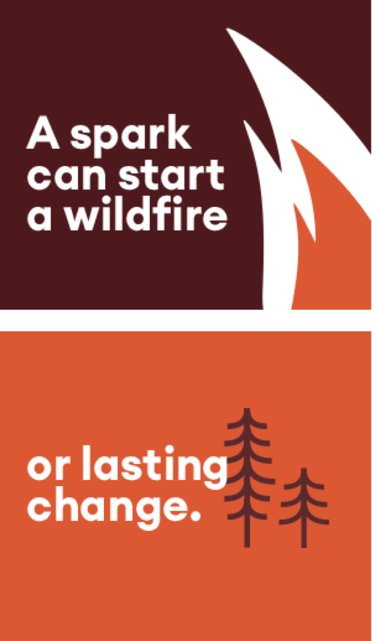 A spark can start a wildfire or lasting change