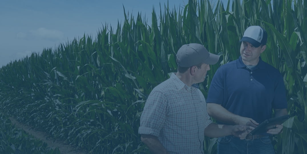 Farmers in field