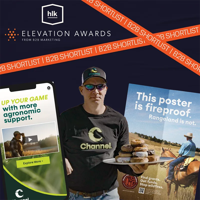 Elevation Awards. From B2B Marketing. B2B Shortlist.