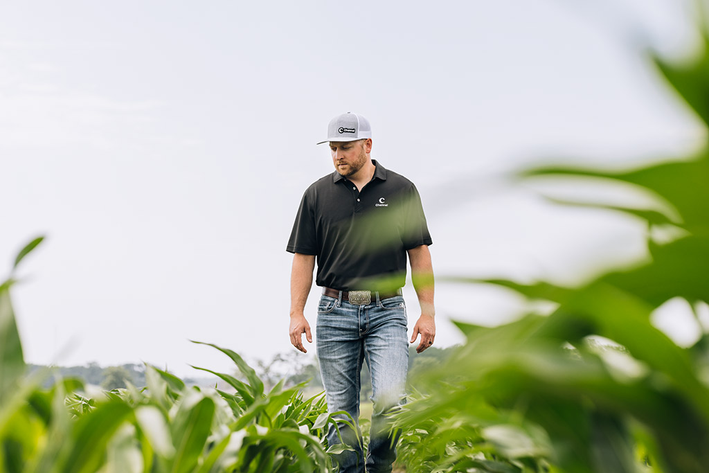 A grower walking through a corn field.