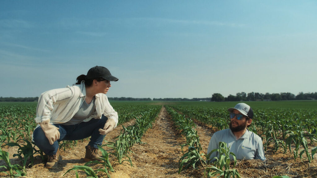 A helpful Channel representative popping up in a corn field.